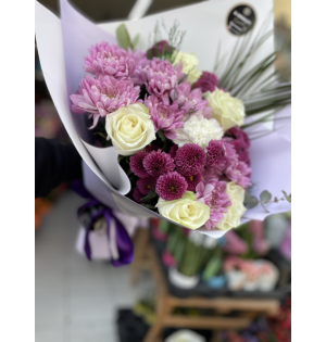 Vip  pembe bordo beyaz karma 1-2